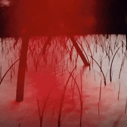 Red Light Cap for Hair Regrowth